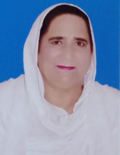 Zaib Un Nisa Awan